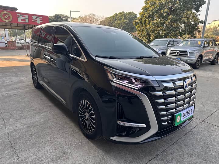 Фото 3 - Denza D9