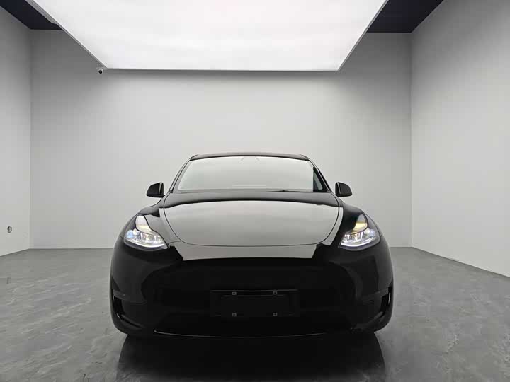 Фото 2 - Tesla Model Y