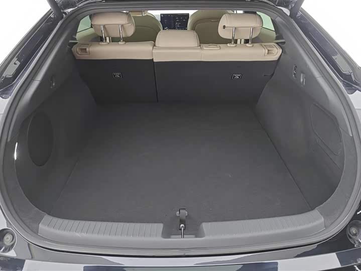 Фото 4 - XPeng F57