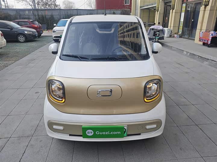 Фото 3 - Bestune Pony