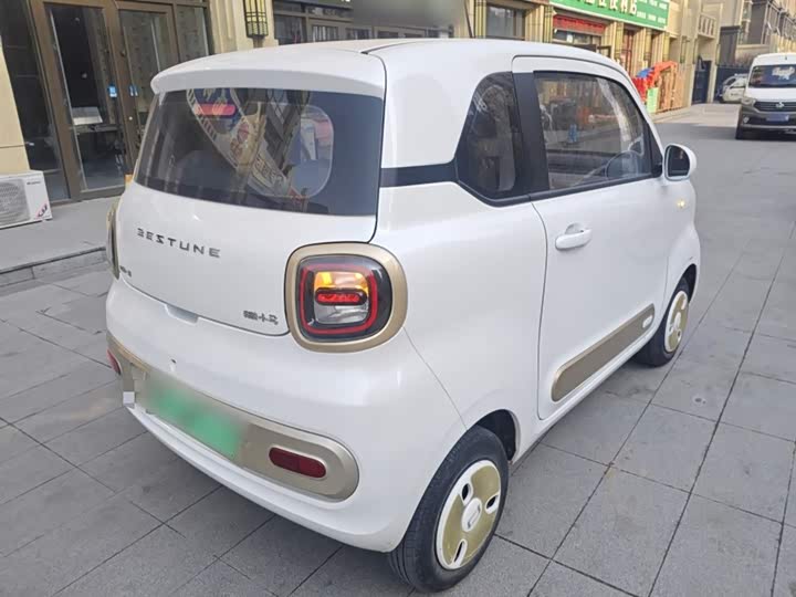 Фото 7 - Bestune Pony