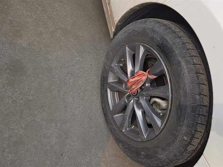 Фото 6 - Mazda 3 (Axela)