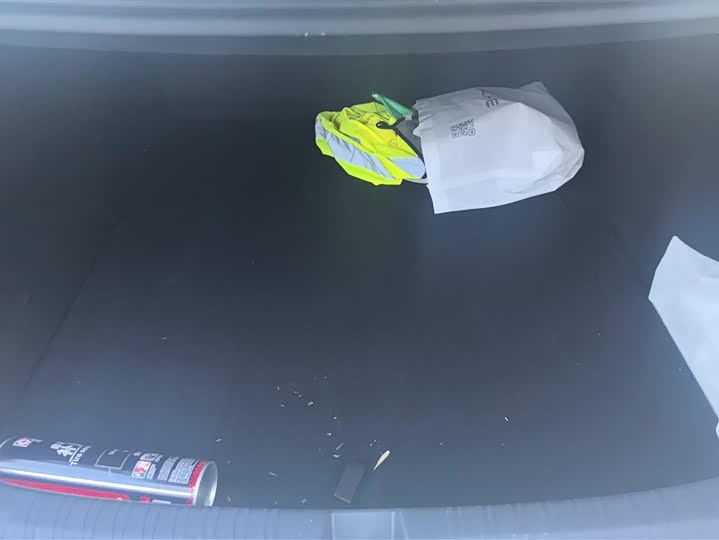 Фото 4 - BYD Qin L