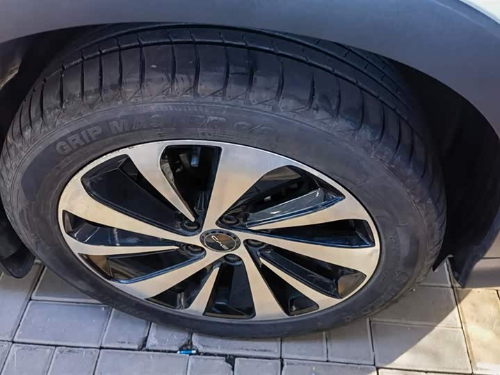 Фото 6 - BYD Song Plus Hybrid/EV