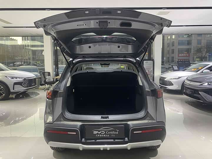 Фото 8 - BYD Yuan Up