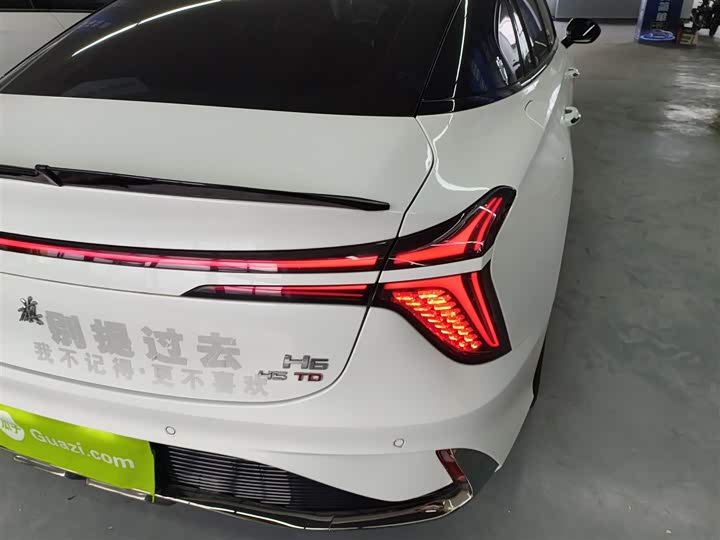 Фото 8 - Hongqi H6