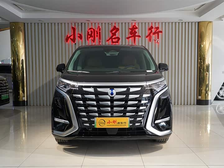 Фото 3 - Denza D9