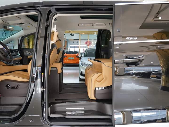 Фото 6 - Denza D9