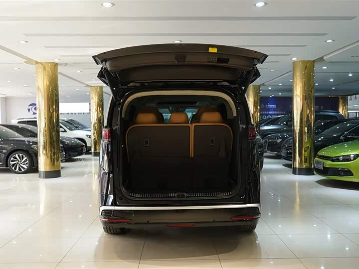 Фото 7 - Denza D9