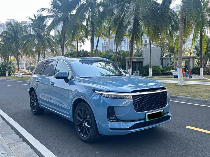 Фото 3 - LiXiang One