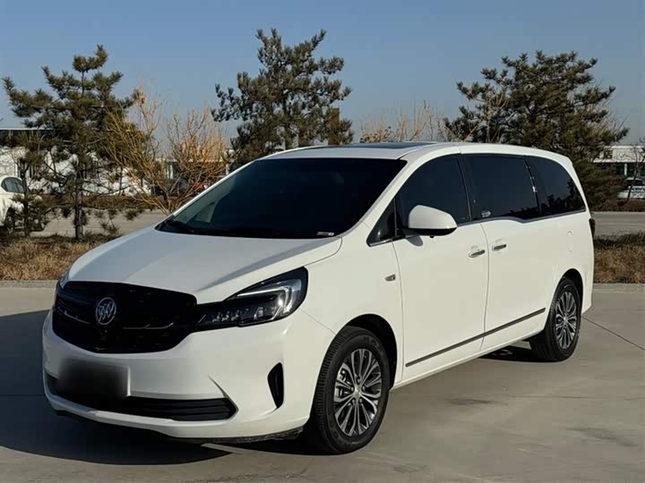 Фото 1 - Buick GL8 ES