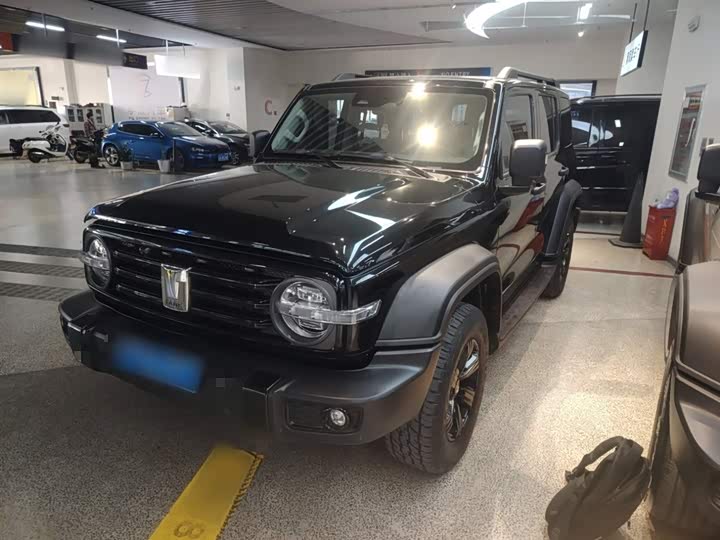 Фото 2 - Tank 300