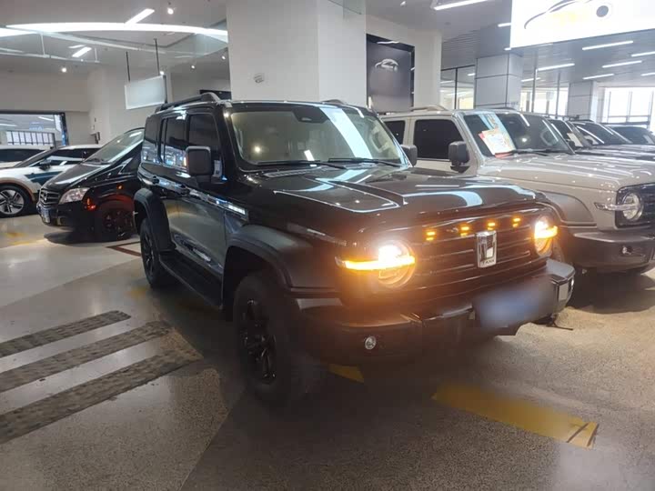 Фото 4 - Tank 300