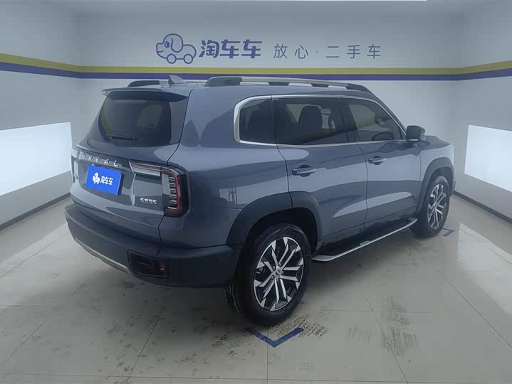 Фото 3 - Haval Dargo