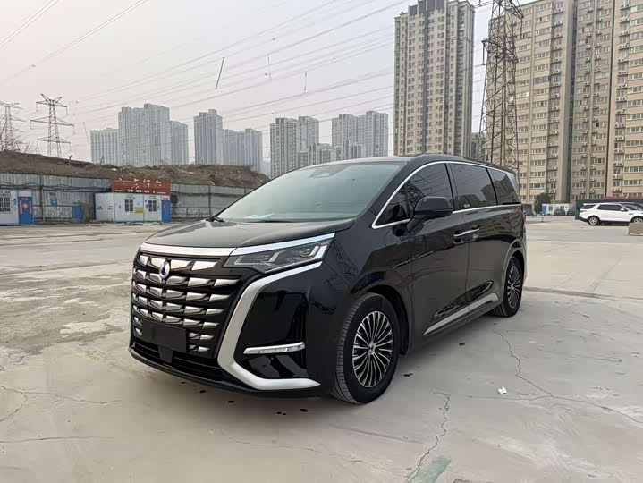 Фото 1 - Denza D9