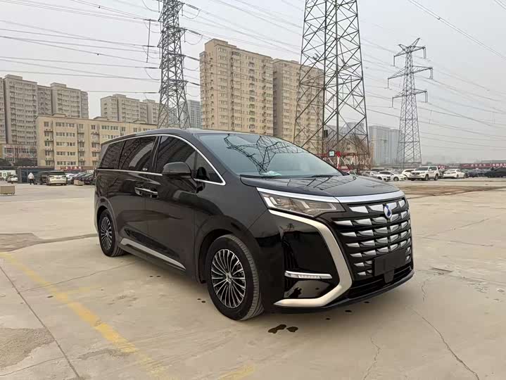 Фото 3 - Denza D9