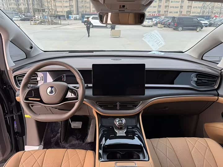 Фото 6 - Denza D9