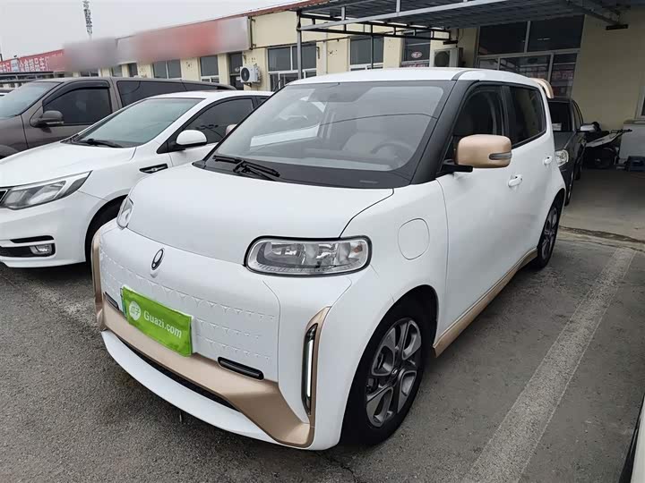 Фото 1 - Ora White Cat