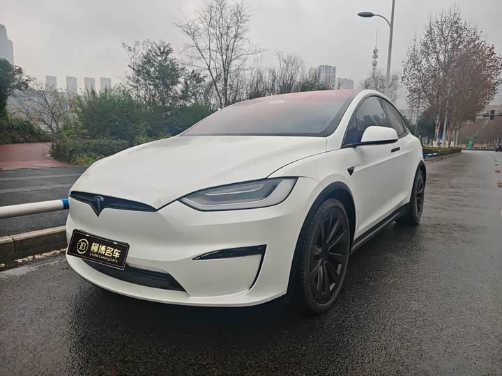 Фото 1 - Tesla Model X