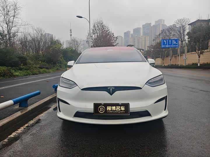 Фото 2 - Tesla Model X