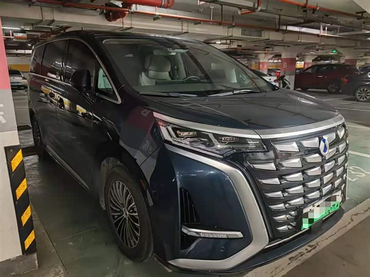 Фото 1 - Denza D9