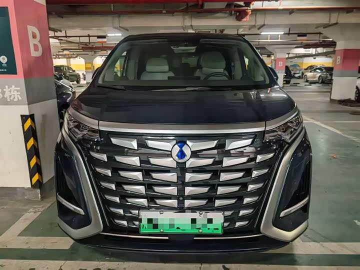 Фото 2 - Denza D9