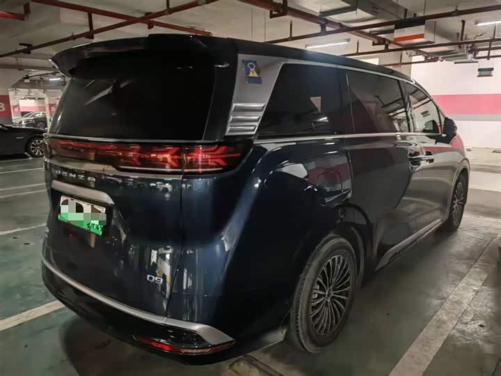 Фото 4 - Denza D9