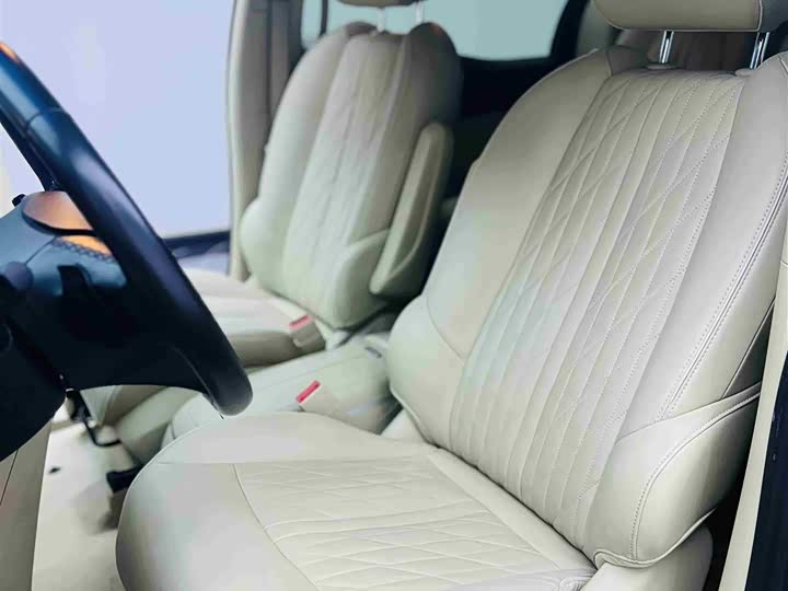 Фото 5 - Buick GL8 ES