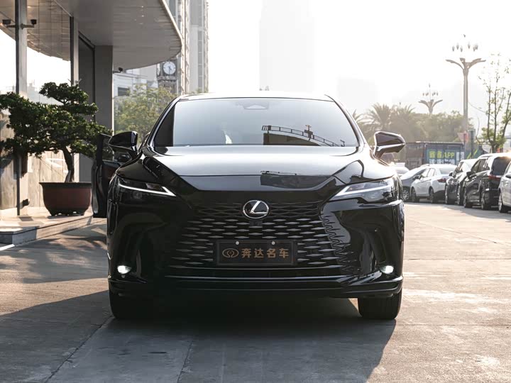 Фото 2 - Lexus RX