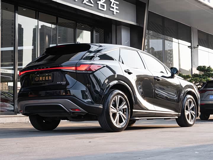 Фото 3 - Lexus RX