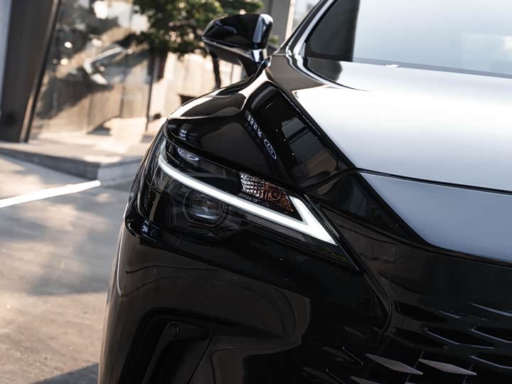 Фото 6 - Lexus RX