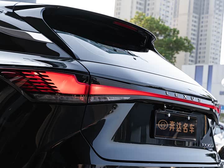 Фото 7 - Lexus RX