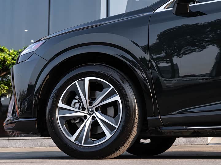 Фото 8 - Lexus RX