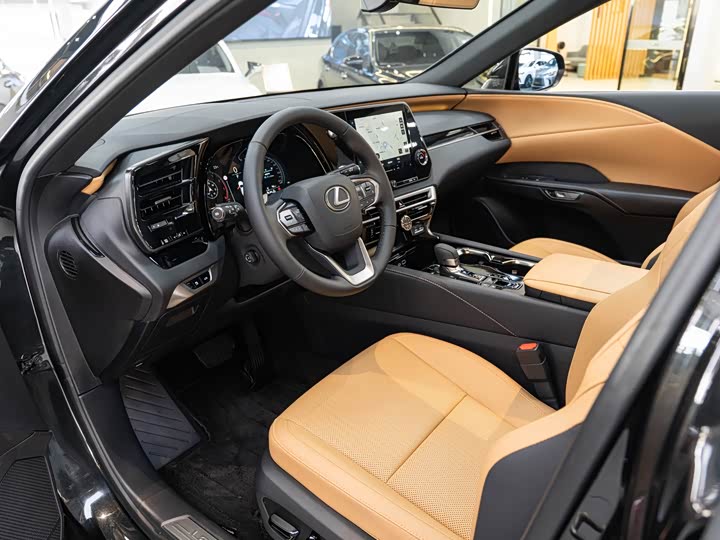 Фото 9 - Lexus RX