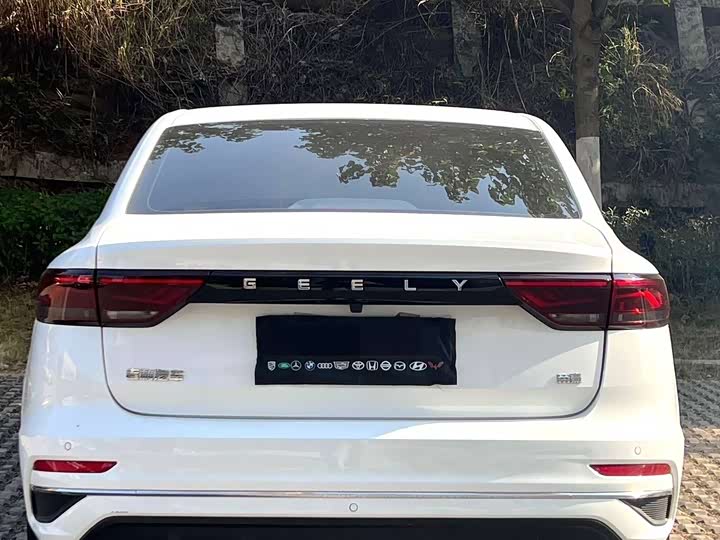 Фото 8 - Geely Emgrand