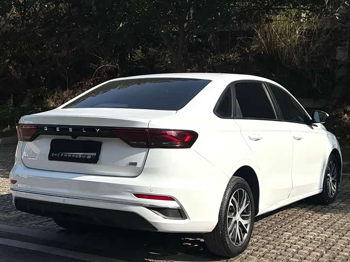 Фото 9 - Geely Emgrand