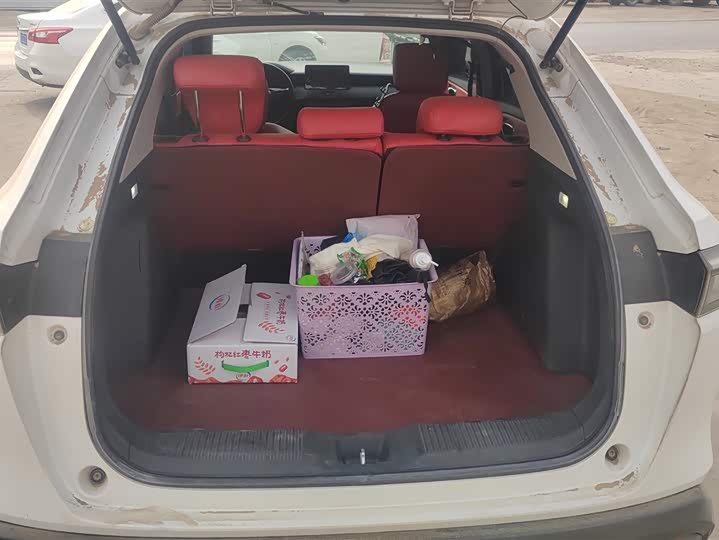 Фото 4 - Honda XR-V