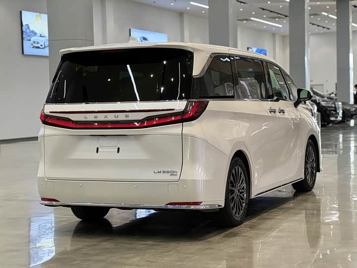 Фото 4 - Lexus LM
