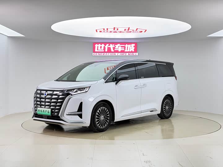 Фото 1 - Denza D9