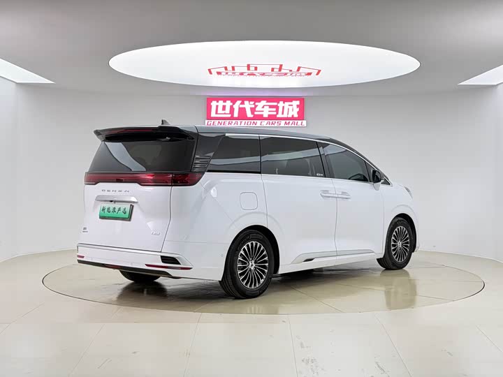 Фото 4 - Denza D9