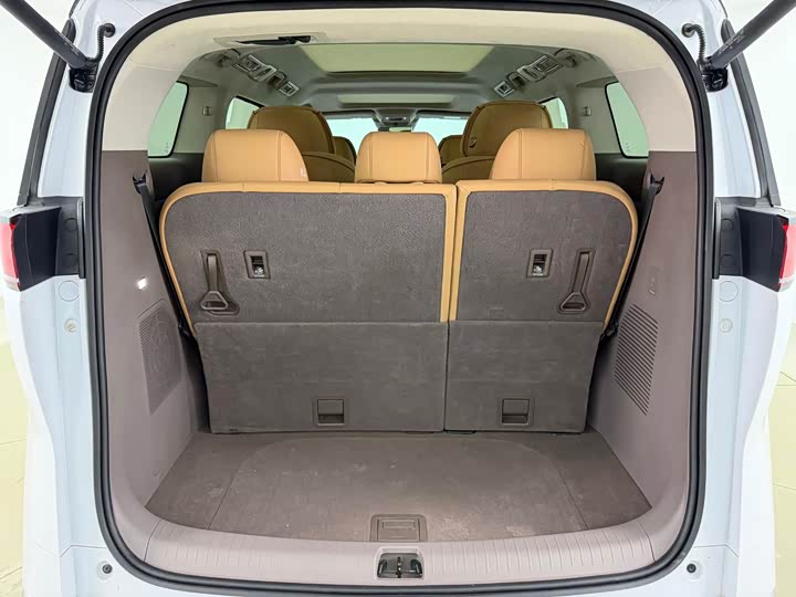 Фото 8 - Denza D9