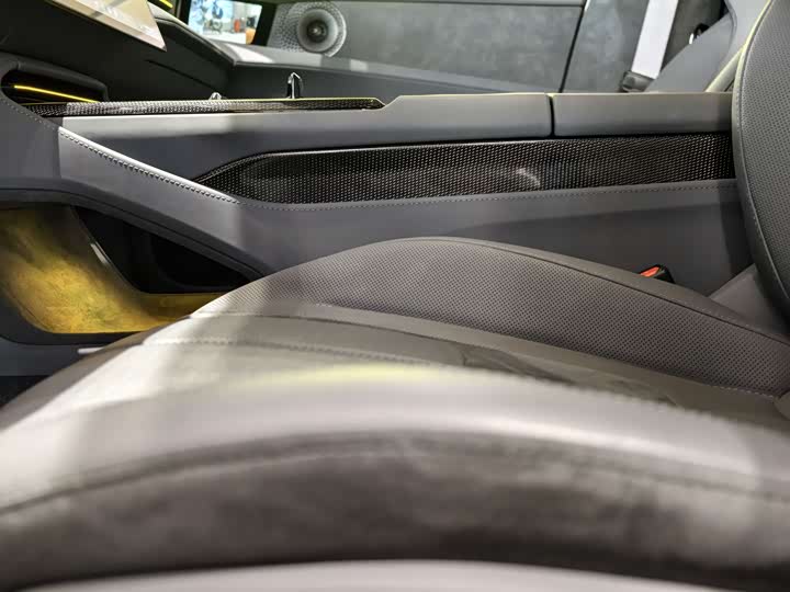 Фото 7 - Lotus Eletre