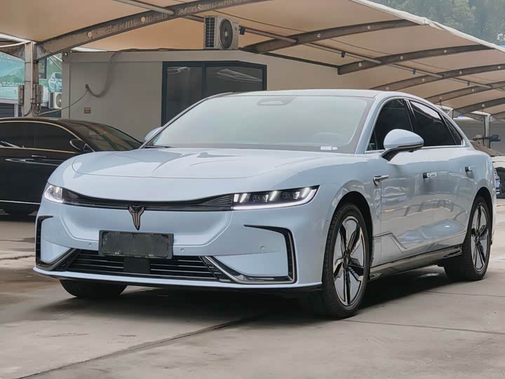 Фото 1 - Voyah Passion