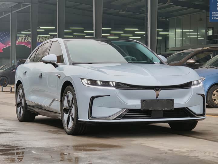 Фото 7 - Voyah Passion