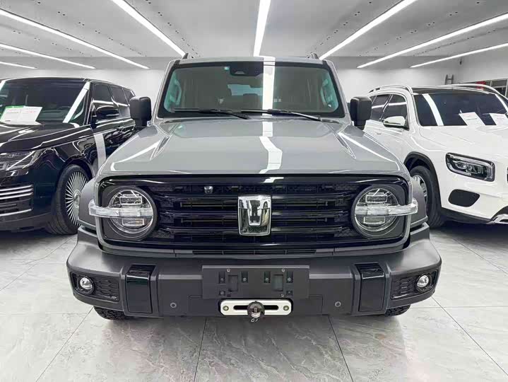 Фото 2 - Tank 300