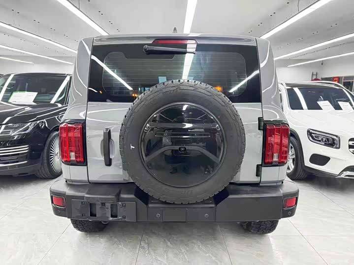 Фото 5 - Tank 300