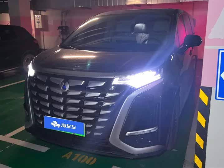 Фото 1 - Denza D9