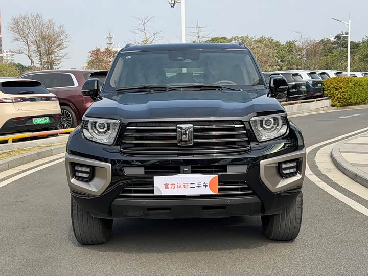 Фото 2 - Tank 700 Hybrid