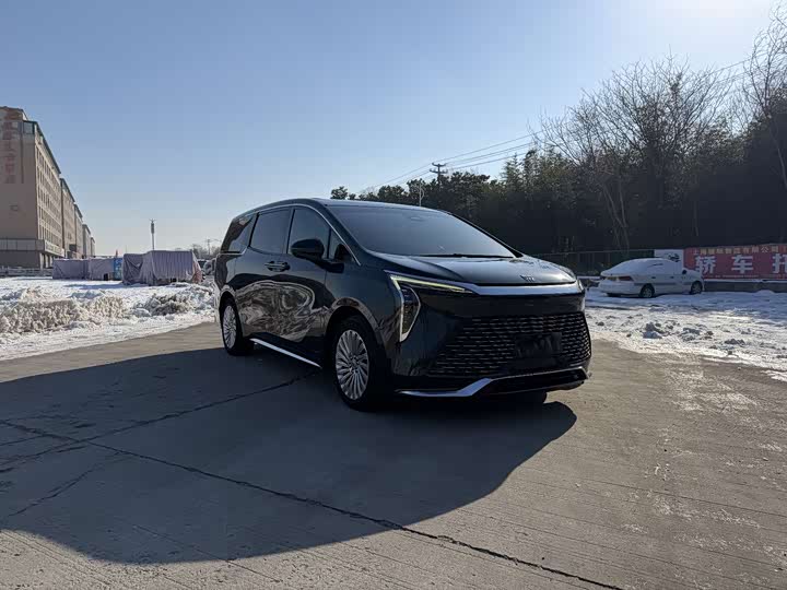 Фото 3 - Buick GL8 Century