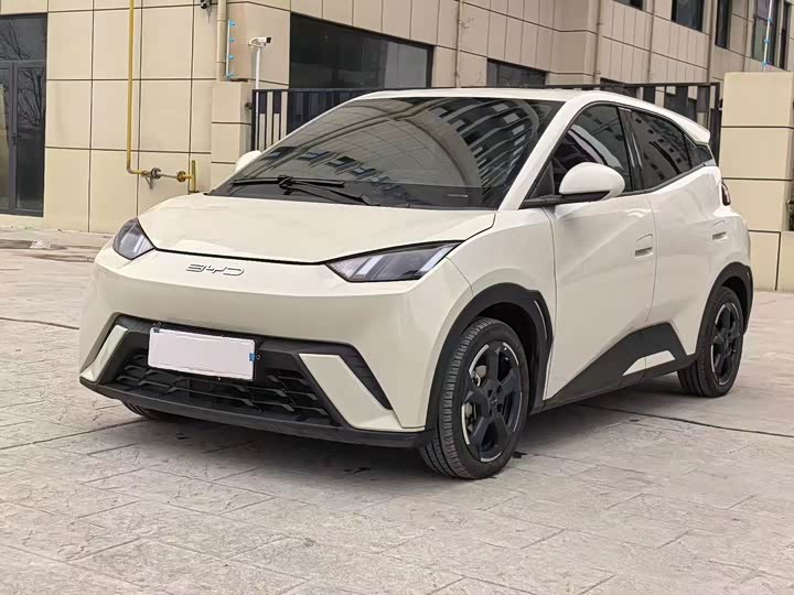 Фото 1 - BYD Seagull